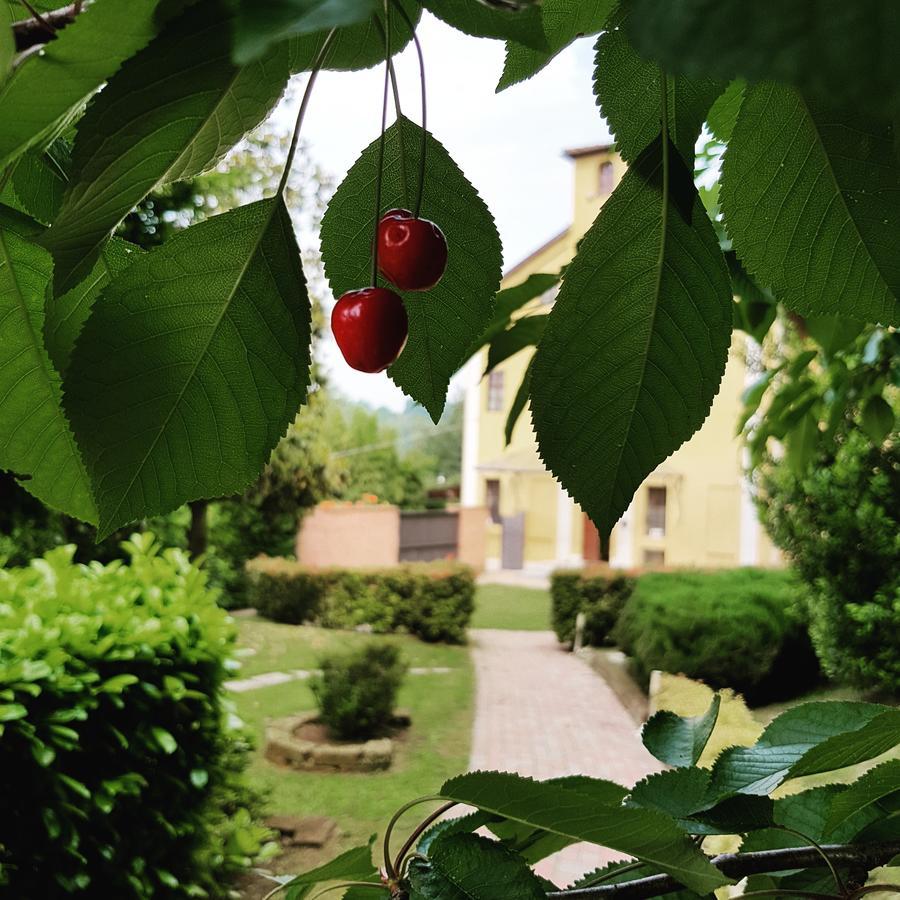 Casa Dei Frati Hotel Asti Kültér fotó